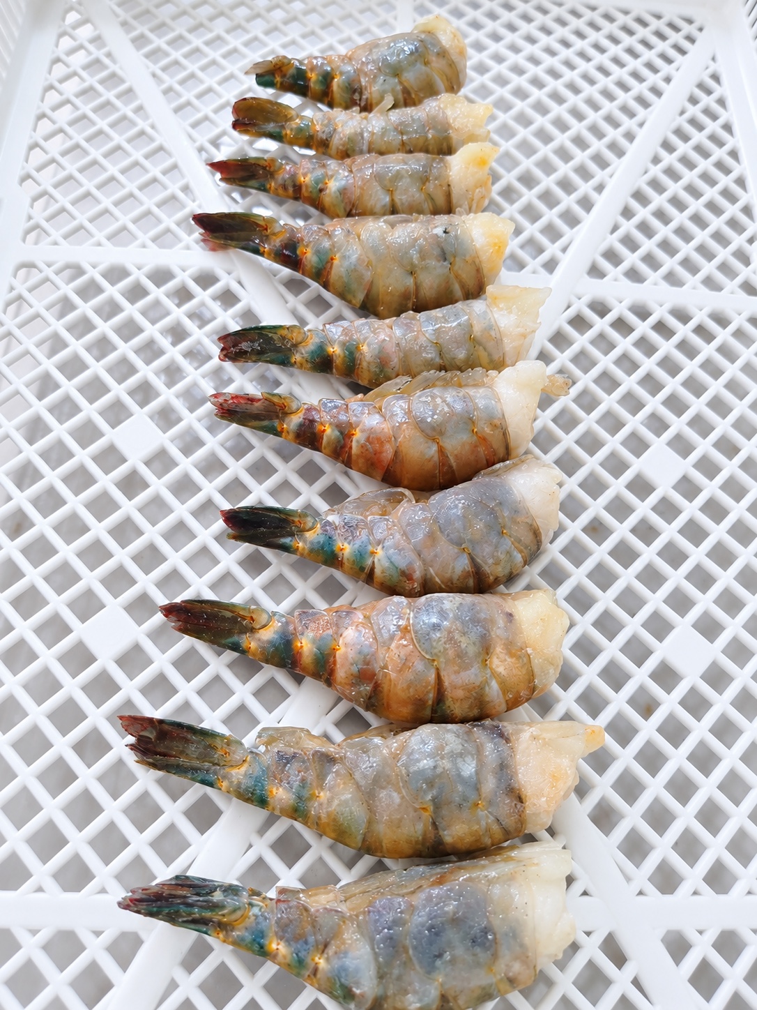 Prepared Madagascar shrimp tails arranged for processing